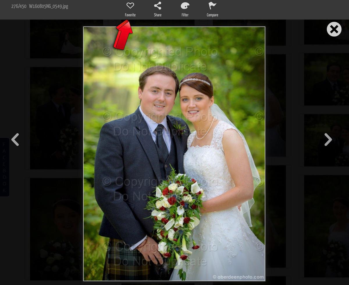 Then browse through your images adding to "Favourites" by clicking on the heart icon.